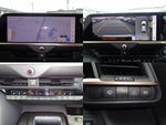 CROWN SPORT