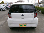 PLEO PLUS