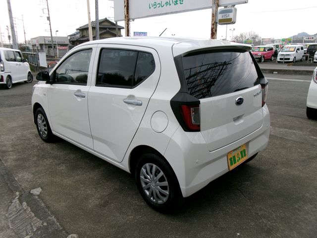 PLEO PLUS