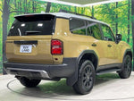 LANDCRUISER 250
