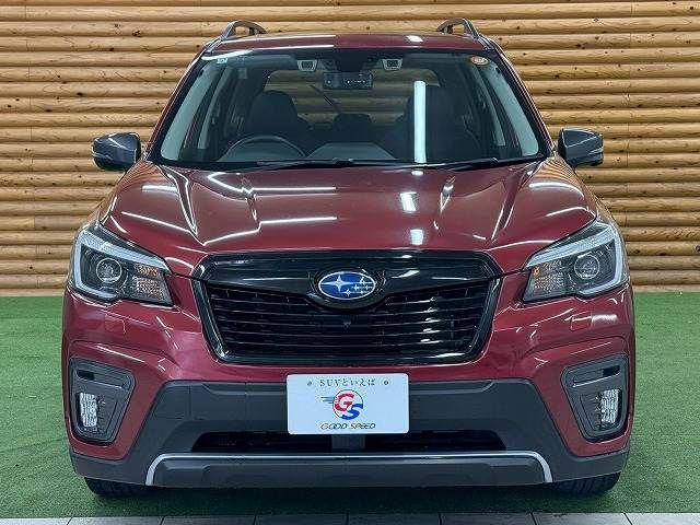 FORESTER