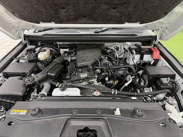 LANDCRUISER 250