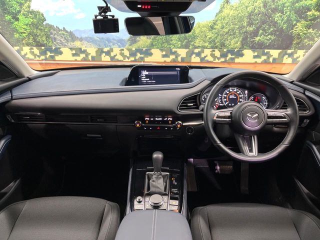 CX-30
