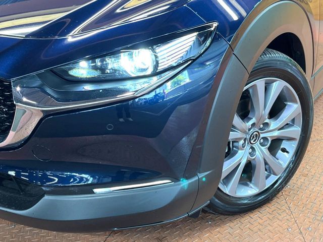 CX-30