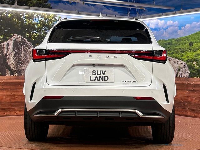 LEXUS NX350h