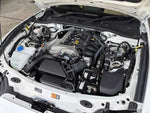 ROADSTER RF