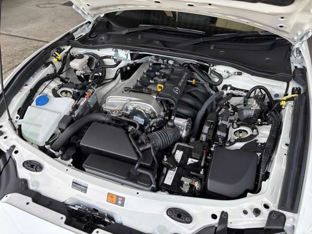 ROADSTER RF