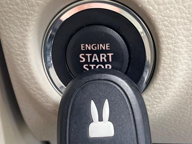 ALTO LAPIN