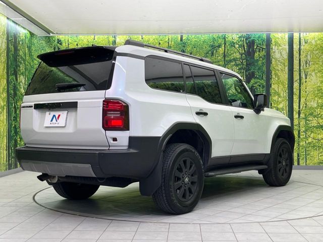 LANDCRUISER 250