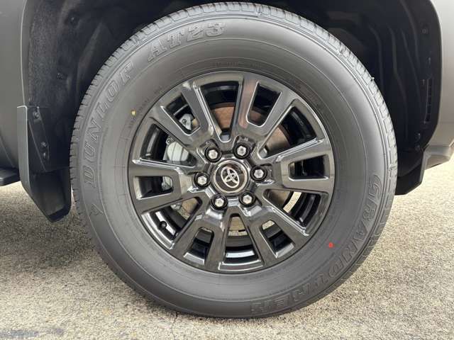 LANDCRUISER 250