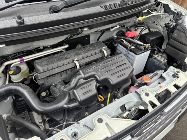 CAST ACTIVA 4WD
