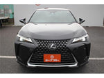 LEXUS UX250h
