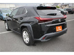LEXUS UX250h