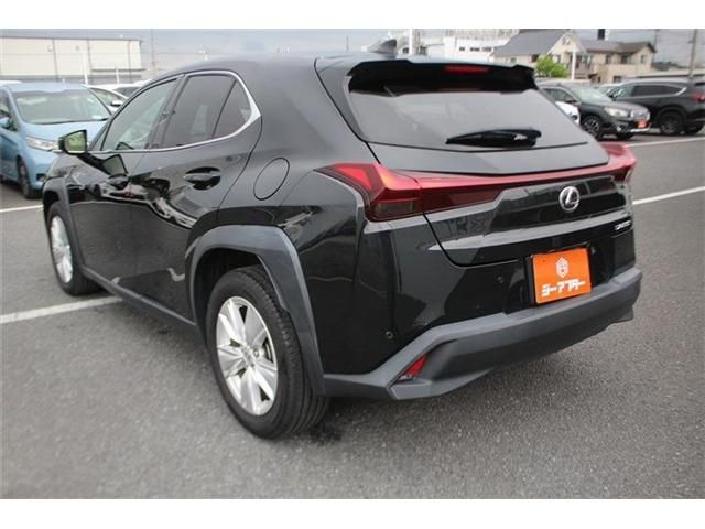 LEXUS UX250h