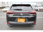 LEXUS UX250h