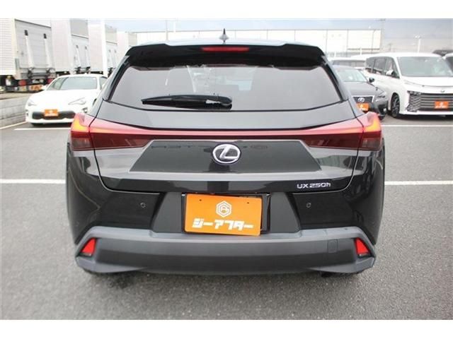 LEXUS UX250h
