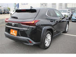 LEXUS UX250h