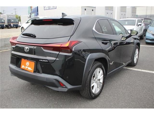 LEXUS UX250h