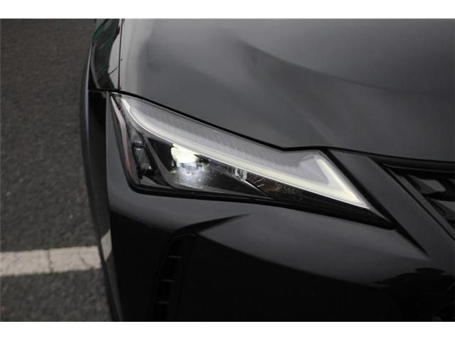 LEXUS UX250h