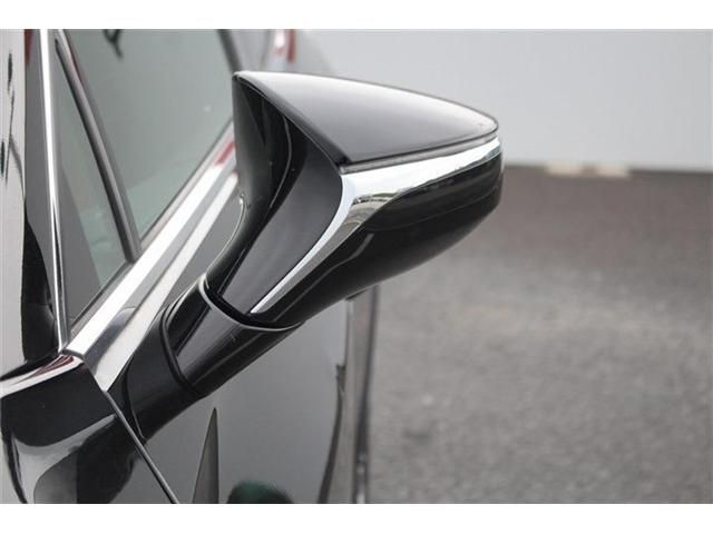 LEXUS UX250h