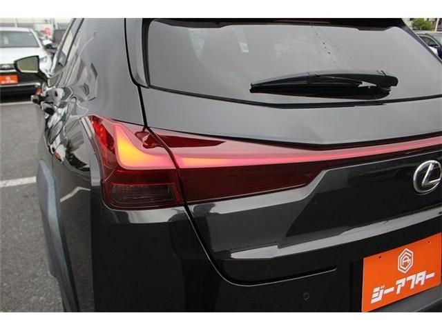 LEXUS UX250h