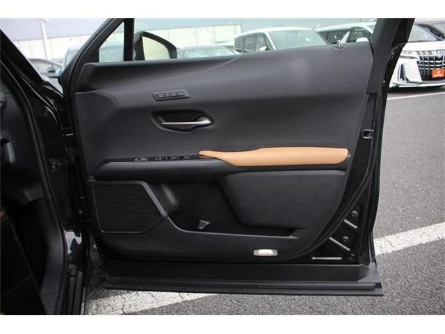 LEXUS UX250h