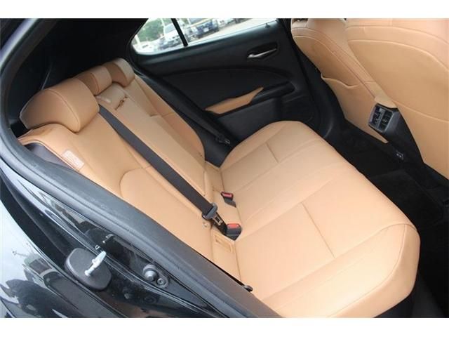 LEXUS UX250h