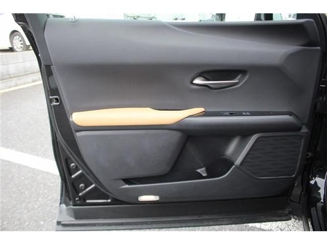 LEXUS UX250h