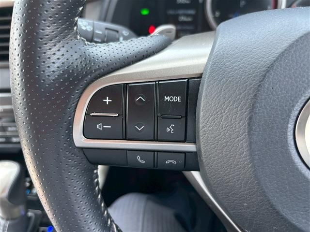 LEXUS RX300