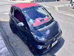 SMART FORTWO open