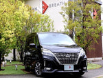 SERENA  S-HYBRID