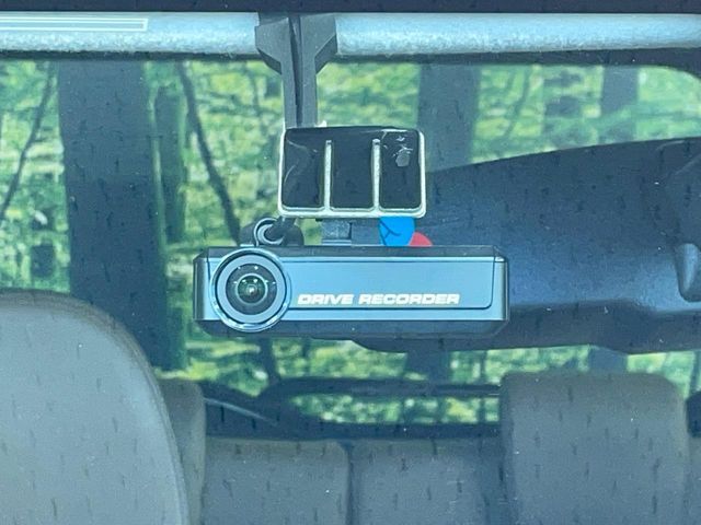 DAYZ ROOX