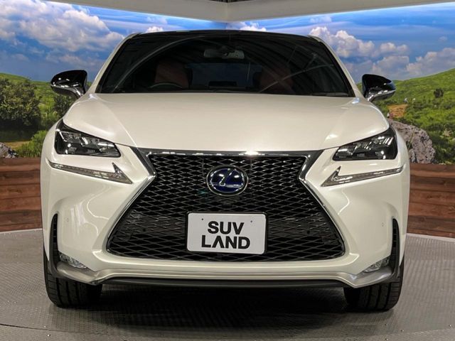 LEXUS NX300h