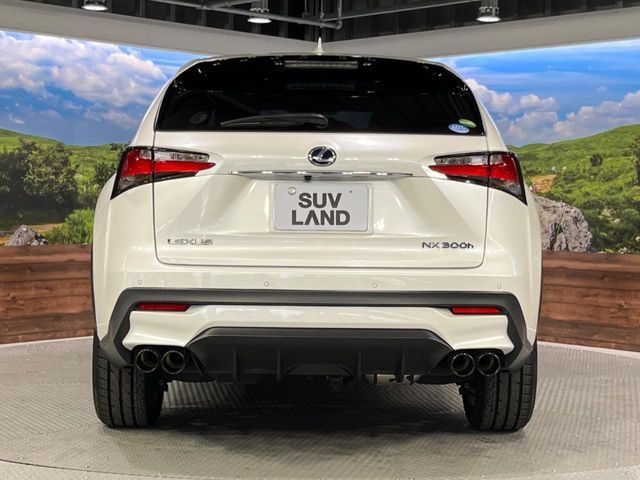 LEXUS NX300h