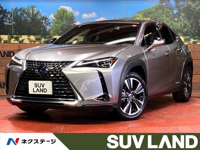 LEXUS UX250h