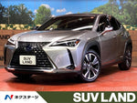 LEXUS UX250h