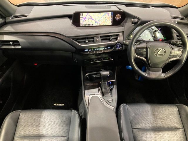 LEXUS UX250h