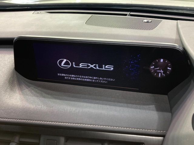 LEXUS UX250h