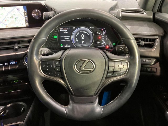 LEXUS UX250h