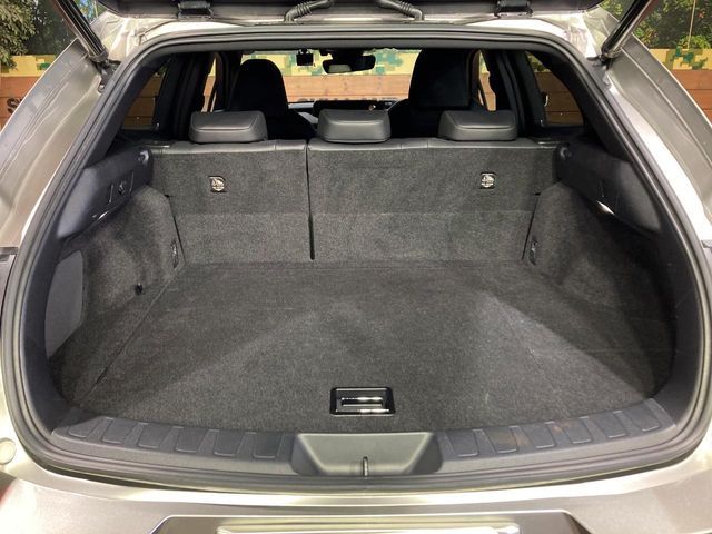 LEXUS UX250h