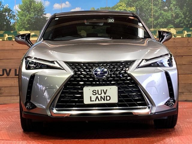 LEXUS UX250h