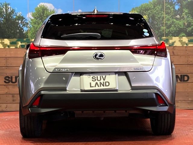 LEXUS UX250h