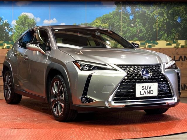 LEXUS UX250h