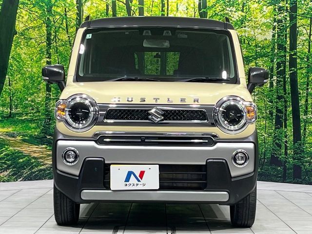 HUSTLER 4WD