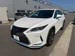 LEXUS RX300