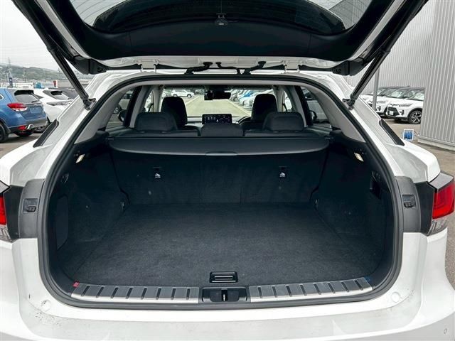 LEXUS RX300