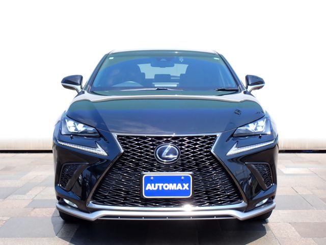 LEXUS NX300h