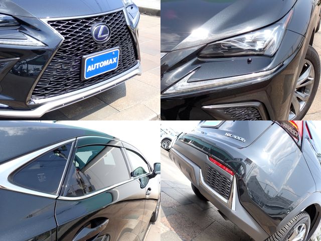 LEXUS NX300h