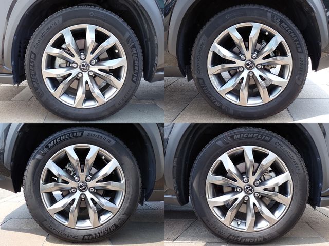 LEXUS NX300h
