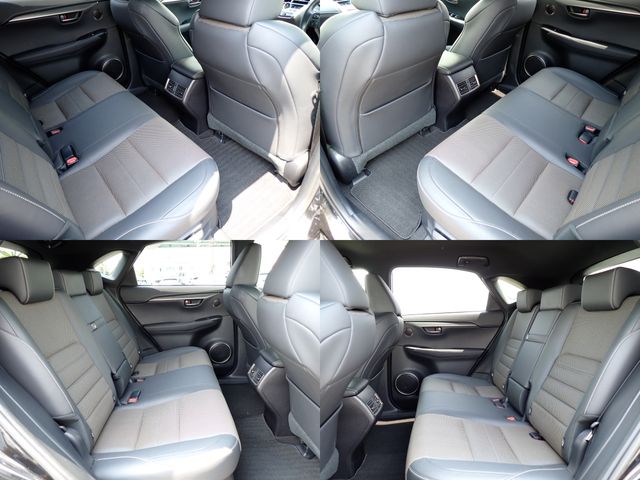 LEXUS NX300h